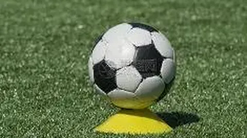 范佩西微博寄语：荣耀战袍荷兰队，期待下一战大捷！