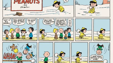 BB贝博艾弗森体育